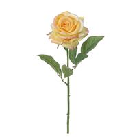 Rose gul 60 cm